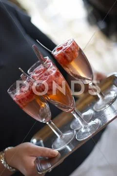 Food Wine Champagne Flute Serve Sparkling Cooler