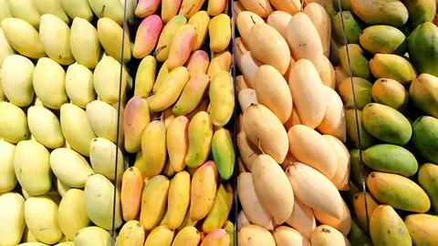 Foods and drinks Stock Footage 272192517