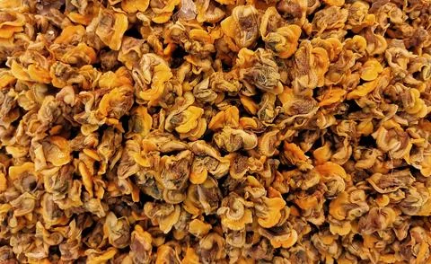 Foods and objects Stock Photos