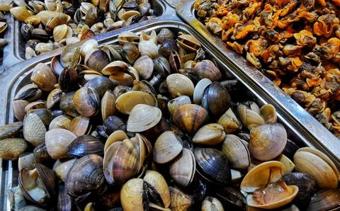 Foods and shell Stock Photos