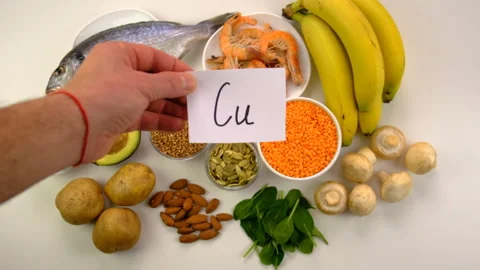 Foods that contain copper. Selective focus. Stock Footage 334872275