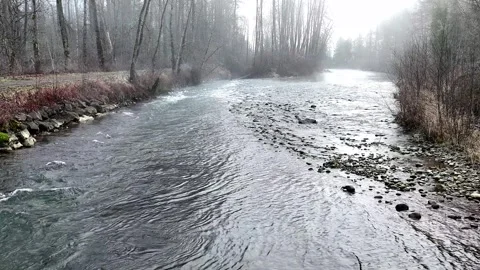 Foogy River 스톡 동영상 298738693