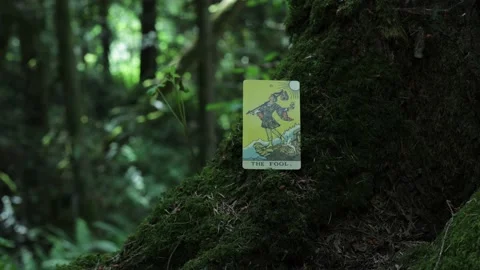 The Fool Tarot Card Stock Footage 200781364