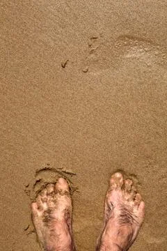 Foot in the beach Stock Photos