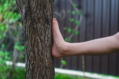 Foot beats a tree Stock Photos