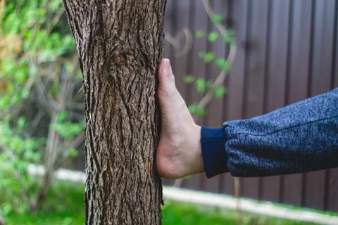 Foot beats a tree Stock Photos