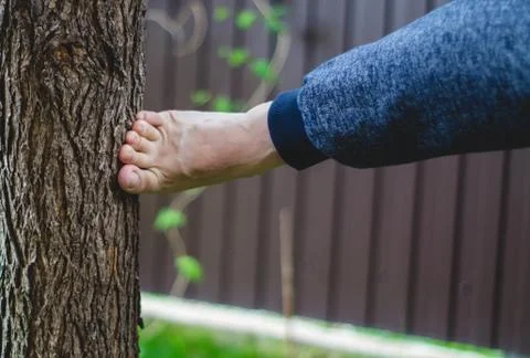 Foot beats a tree Stock Photos