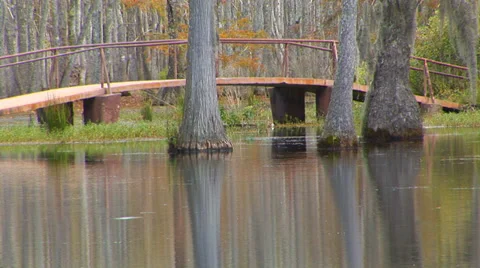 Foot Bridge In Bayou Stock Footage 33604177