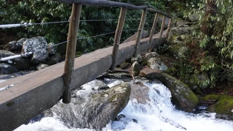 Foot bridge 動画素材 87744841