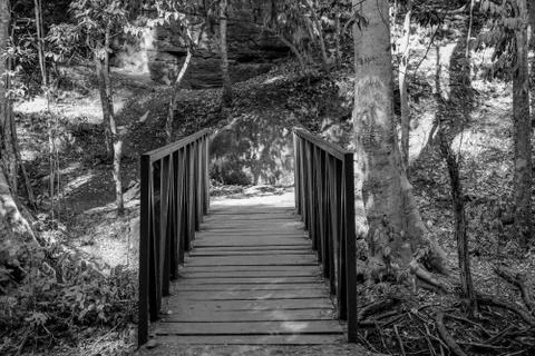 Foot Bridge Stock Photos
