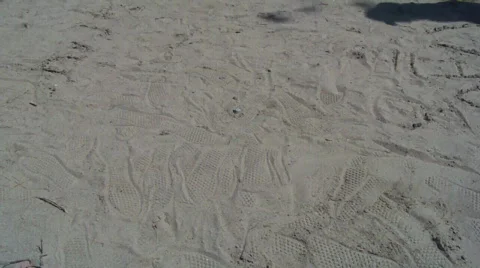 Foot dancing Stock Footage 445898