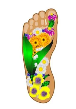 Foot with flowers Stock Illustration