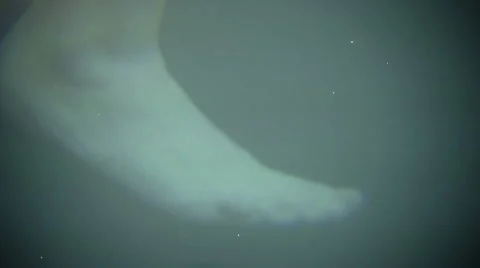 Foot fx Stock Footage 1106793