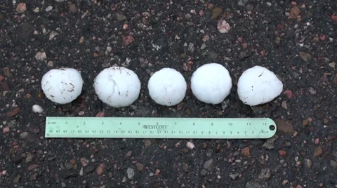 A Foot of Hail Stock Footage 54749069