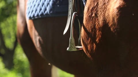 Foot inserted in the stirrup on the horse Stock Footage 64704809