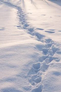 Foot mark in snow Stock Photos