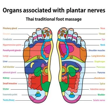 Foot massage Stock Illustration