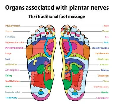 Foot massage Stock Illustration