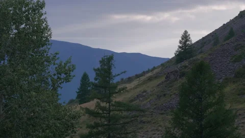 Foot of the mountain, trees, evening Stock Footage 171753781