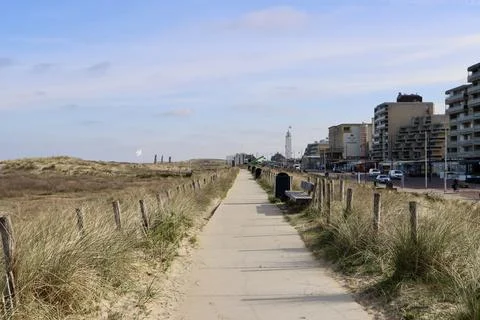Foot path in dunes Stock Photos