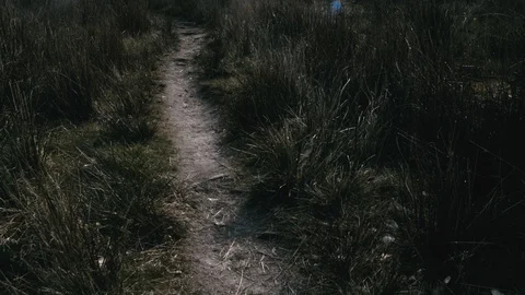 Foot path Stock Footage 107941437