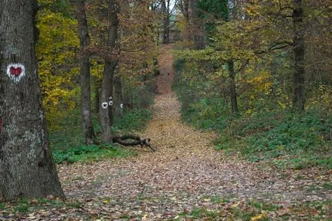 Foot path going up the hill covered with dry yellow leaves Foto stock