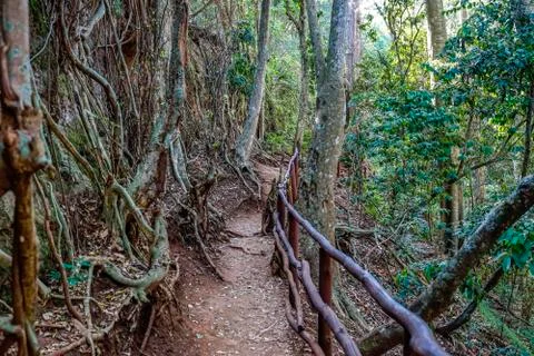 Foot path Stock Photos