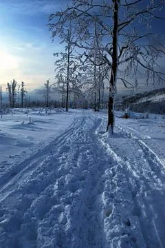 Foot-path in winter mountains Stock Photos