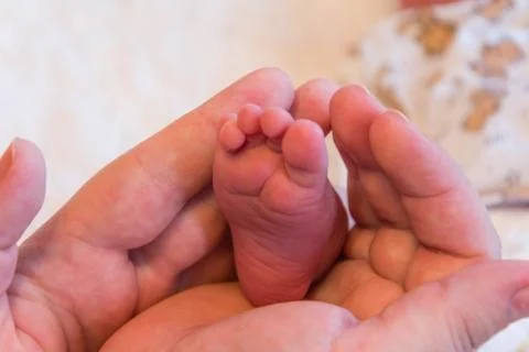 Foot Stock Photos