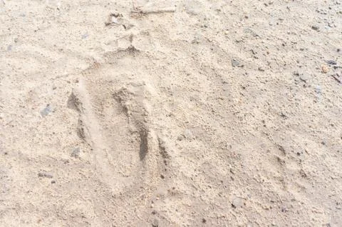 Foot print Stock Photos