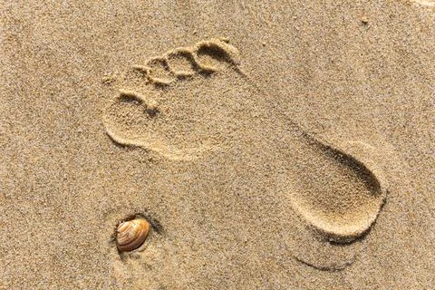 A foot print is in the sand next to a shell Stock Photos