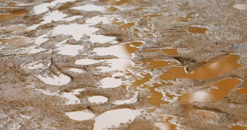 Foot print on wet mud Stock Footage 283465872