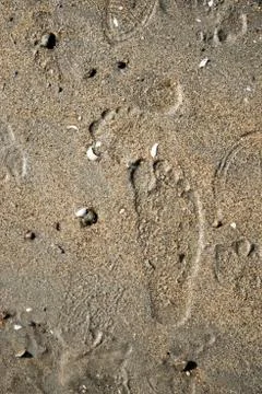 Foot prints on a beach Stock Photos