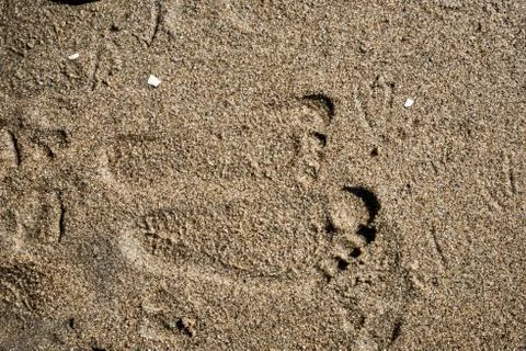 Foot prints on a beach Stock Photos