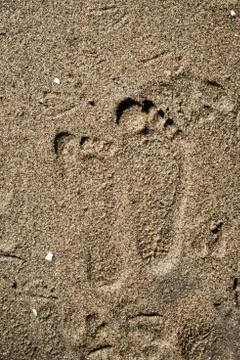 Foot prints on a beach Stock Photos
