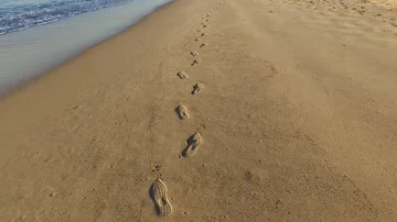 Foot Prints In the Sand Stock Footage 85986039