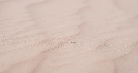 Foot in Sand 4K+ 動画素材 119203748