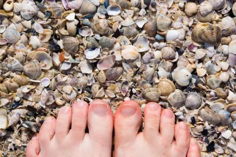 Foot on sea shells background 스톡 사진