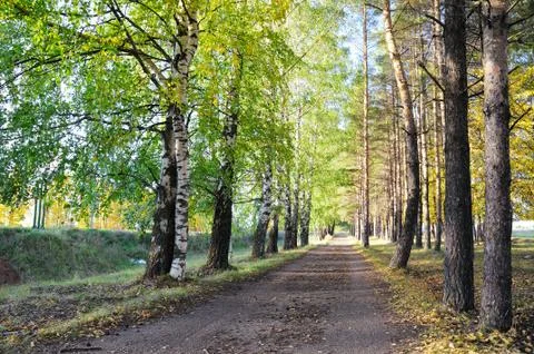 The foot sidewalk Stock Photos