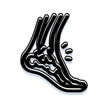 Foot skeleton bone structure showing medical anatomy Stock-Illustration