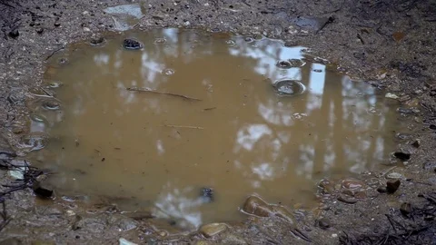 Foot stepping in a puddle Video stock 80422049