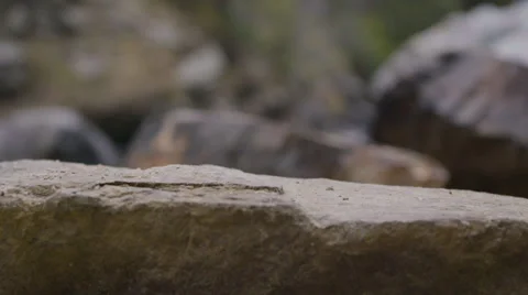 Foot Stepping on rock Stock Footage 54708544
