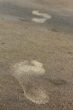 Foot steps on the beach Stockfoto's