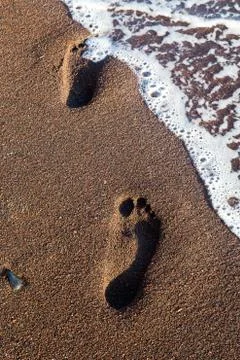 Foot Steps Beach Stock Photos