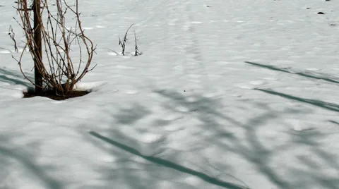 Foot steps in the fresh snow Stock Footage 36678901