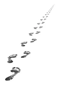 Foot steps Stock Illustration