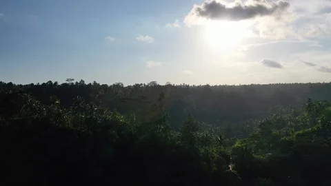 Footage 22.mp4 Stock Footage 116822187
