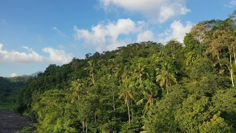 Footage 24.mp4 Stock Footage 116822282