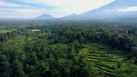 Footage 28.mp4 Stock Footage 116822324
