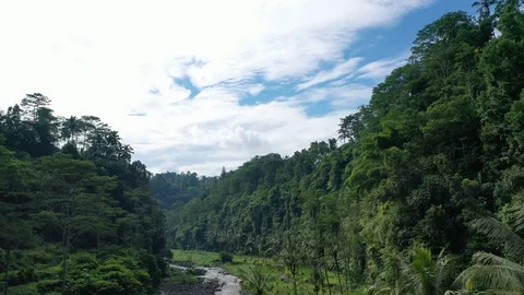 Footage 29.mp4 Stock Footage 116822389